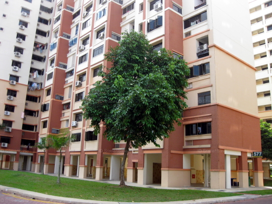Blk 577 Hougang Avenue 4 (S)530577 #234172